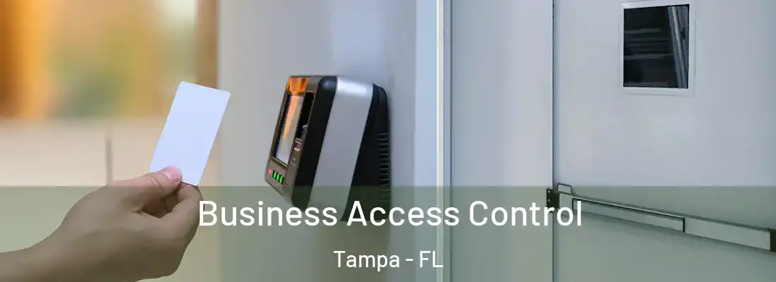  Business Access Control Tampa - FL