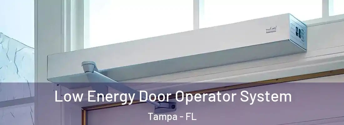  Low Energy Door Operator System Tampa - FL