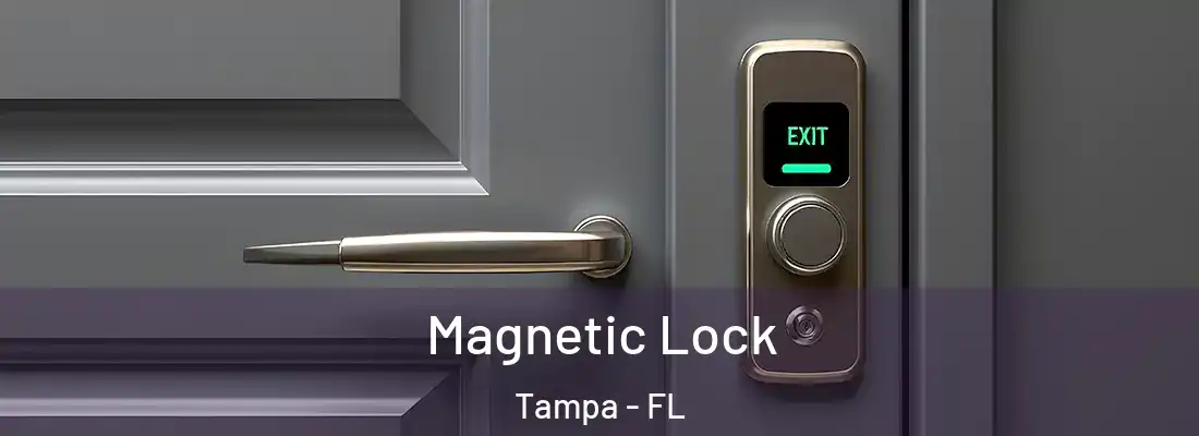 Magnetic Lock Tampa - FL
