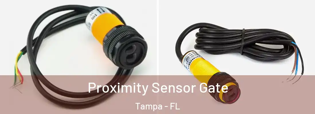 Proximity Sensor Gate Tampa - FL