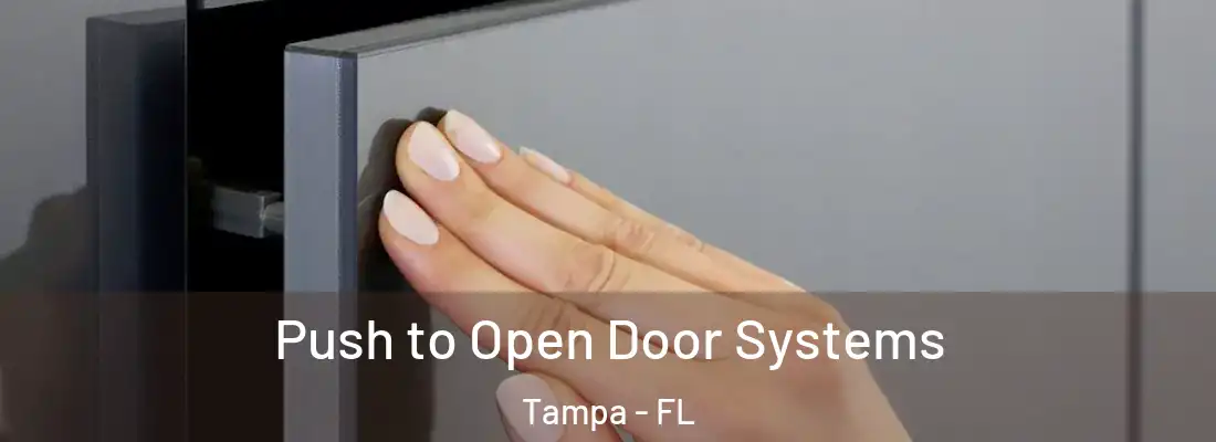Push to Open Door Systems Tampa - FL